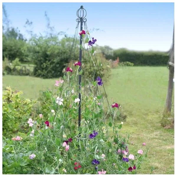 Klimsteun sierlijke piramide Klimsteun Sierlijke Piramide -Winkel Voor Plantenzaden En Meststoffen 1497258392 1 600