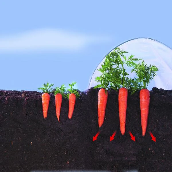 Kweekfolie / tunnelfolie - 2 × 10 m Kweekfolie / Tunnelfolie - 2 × 10 M -Winkel Voor Plantenzaden En Meststoffen 1534088192 2 600