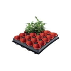 Tray Met 20 Kweekpotjes 6 Cm