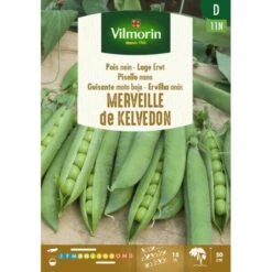 Lage Erwt - Merveille De Kelvedon