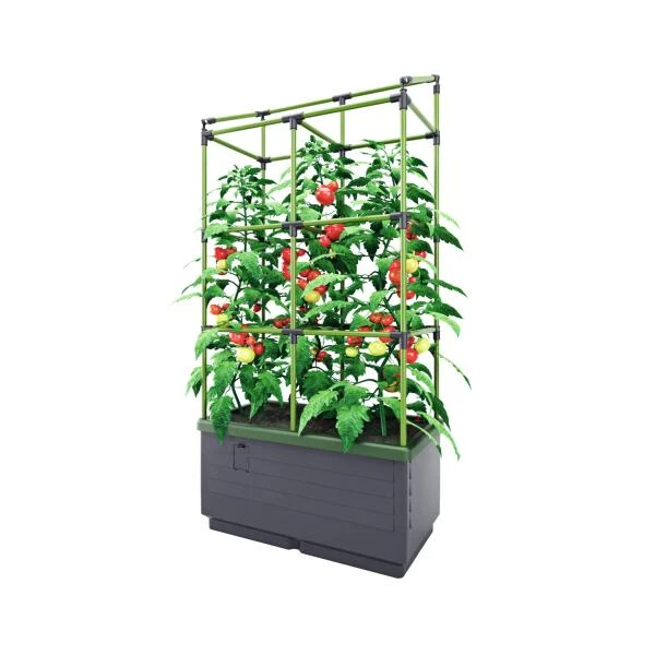 Kweekbak City jungle Basic met klimframe Kweekbak City Jungle Basic Met Klimframe -Winkel Voor Plantenzaden En Meststoffen 1677572003 3 600