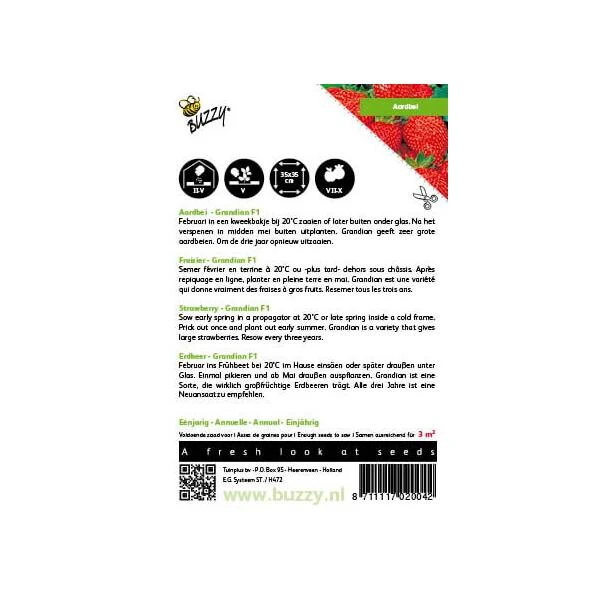 Aardbeien Grandian F1 - Fragaria × ananassa Aardbeien Grandian F1 - Fragaria × Ananassa -Winkel Voor Plantenzaden En Meststoffen aardbeien grandian f1 fragaria x ananassa 1646840382 1505 600