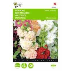 Alcea Rosea Chaters Mix