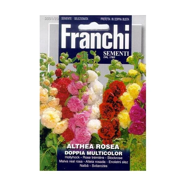 Althea Rossa Doppia Multicolor - Stokroosmengsel -Winkel Voor Plantenzaden En Meststoffen althea rossa doppia multicolor stokroosmengsel 1646840374 1386 600