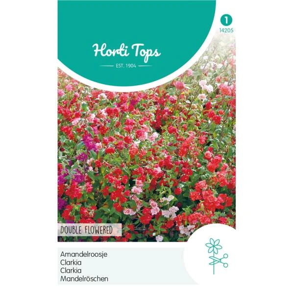 Amandelroosje - Clarkia unguiculata Amandelroosje - Clarkia Unguiculata -Winkel Voor Plantenzaden En Meststoffen amandelroosje clarkia unguiculata 1646840358 1008 600