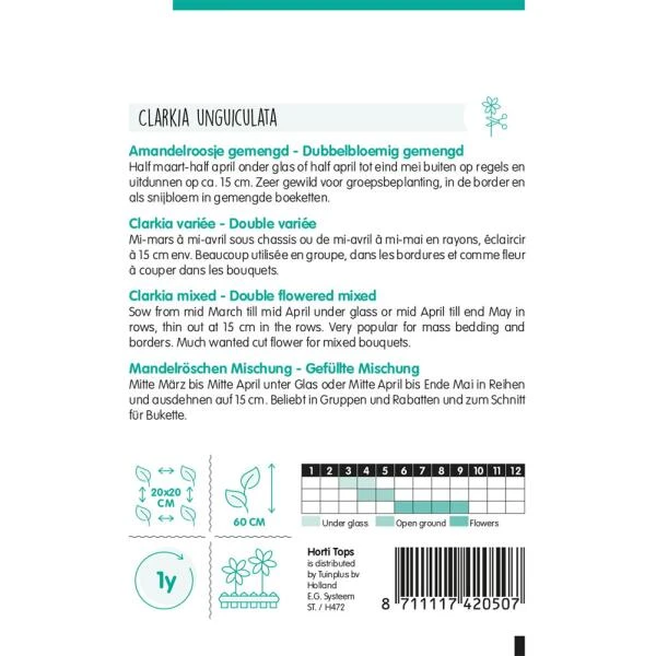 Amandelroosje - Clarkia unguiculata Amandelroosje - Clarkia Unguiculata -Winkel Voor Plantenzaden En Meststoffen amandelroosje clarkia unguiculata 1646840358 1009 600