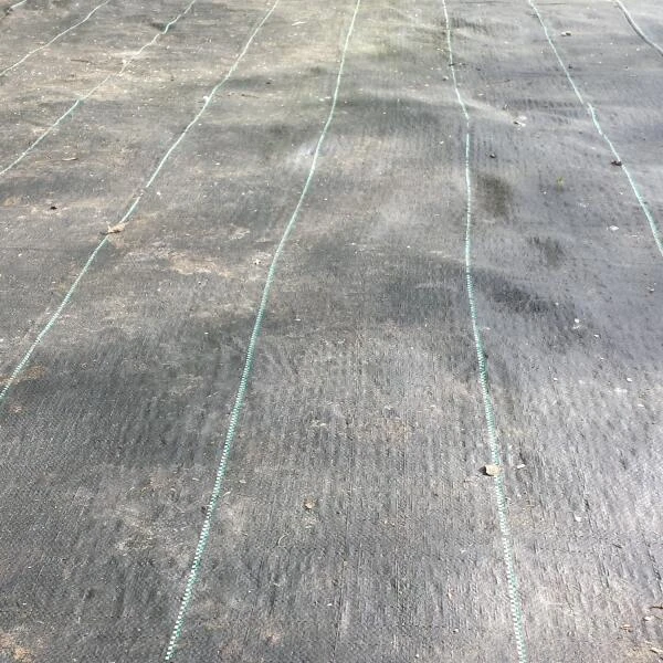 Gronddoek - onkruidwerend 4 m × 5 m Gronddoek - Onkruidwerend 4 M × 5 M -Winkel Voor Plantenzaden En Meststoffen antionkruiddoek 4 x 5 m 1484065508 1 600