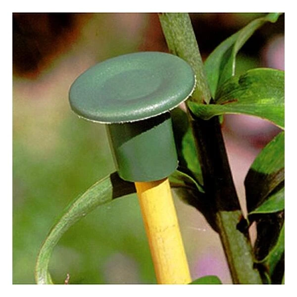 Flexibele bamboestokdopjes - set van 10 stuks Flexibele Bamboestokdopjes - Set Van 10 Stuks -Winkel Voor Plantenzaden En Meststoffen bamboestokdopjes 1484055986 2 600