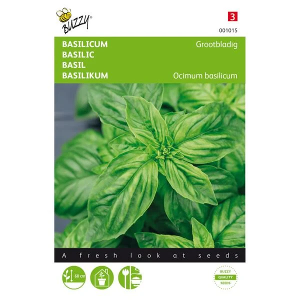 Basilicum grove - Ocimum basilicum Basilicum Grove - Ocimum Basilicum -Winkel Voor Plantenzaden En Meststoffen basilicum grove ocimum basilicum 1646840312 13 600