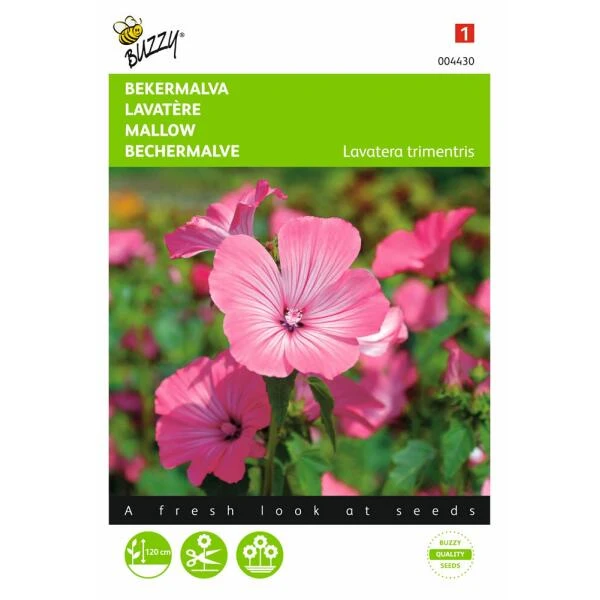 Bekermalva - Lavatera trimestris Bekermalva - Lavatera Trimestris -Winkel Voor Plantenzaden En Meststoffen bekermalva lavatera trimestris 1646840329 395 600