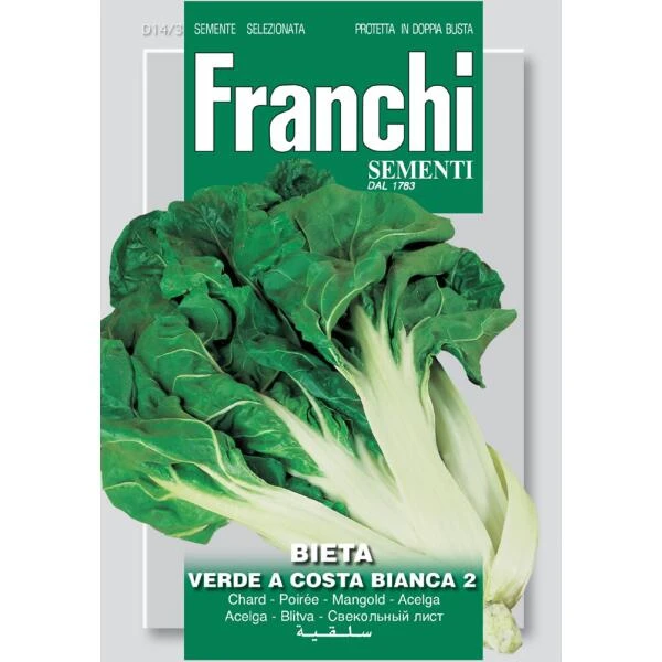 Bietola verde a costa bianca 2 - groene snijbiet Bietola Verde A Costa Bianca 2 - Groene Snijbiet -Winkel Voor Plantenzaden En Meststoffen bietola verde a costa bianca 2 groene snijbiet 1646840372 1314 600