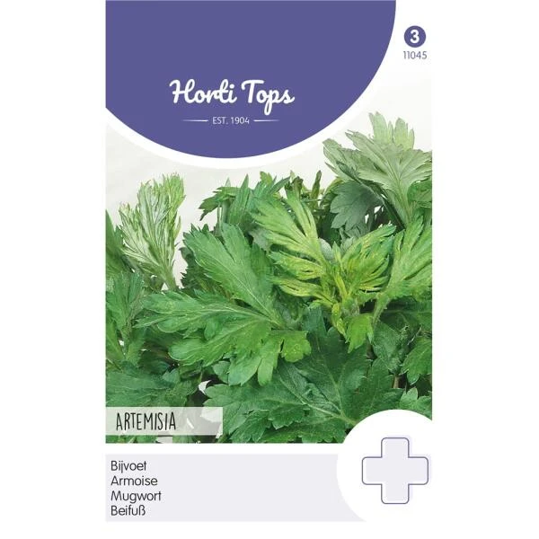 Bijvoet - Artemisia vulgaris Bijvoet - Artemisia Vulgaris -Winkel Voor Plantenzaden En Meststoffen bijvoet artemisia vulgaris 1646840311 1 600
