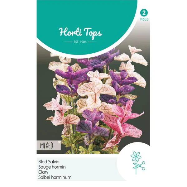 Bladsalvia Tricolor - Salvia Horminum Tricolor -Winkel Voor Plantenzaden En Meststoffen bladsalvia tricolor salvia horminum tricolor 1646840364 1150 600