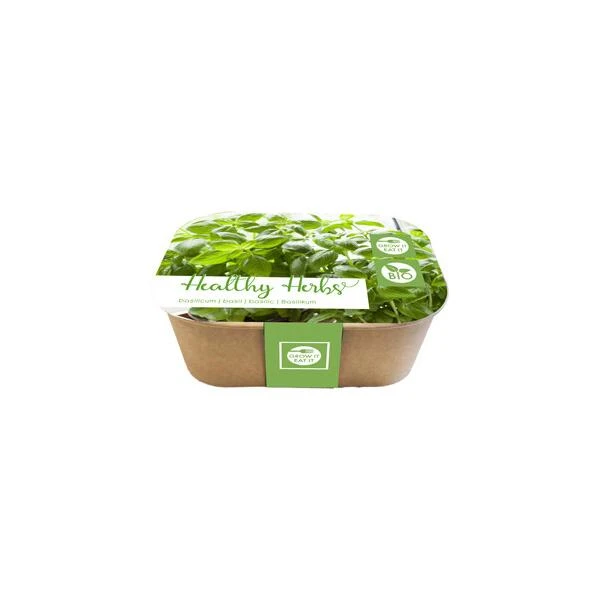 Box Healthy Herb - basilicum Box Healthy Herb - Basilicum -Winkel Voor Plantenzaden En Meststoffen box healthy herb basilicum 1640857244 1 600