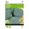 Broccoli Groene Calabria - Brassica Oleracea