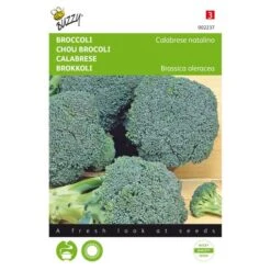 Broccoli Groene Calabria - Brassica Oleracea