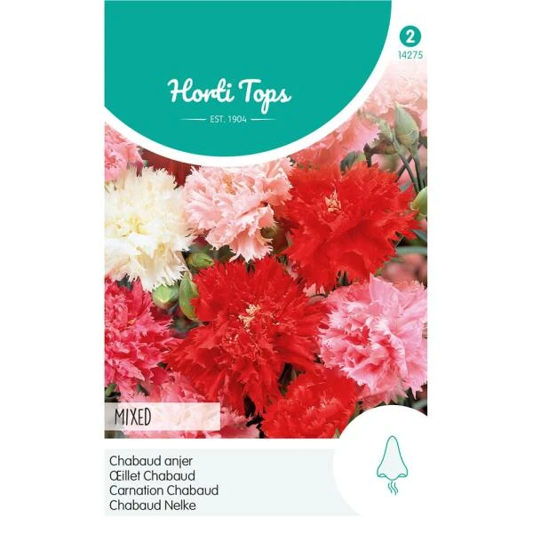 Chabaud anjer mix - Dianthus caryophyllus Chabaud Anjer Mix - Dianthus Caryophyllus -Winkel Voor Plantenzaden En Meststoffen chabaud anjer mix dianthus caryophyllus 1646840361 1078 600