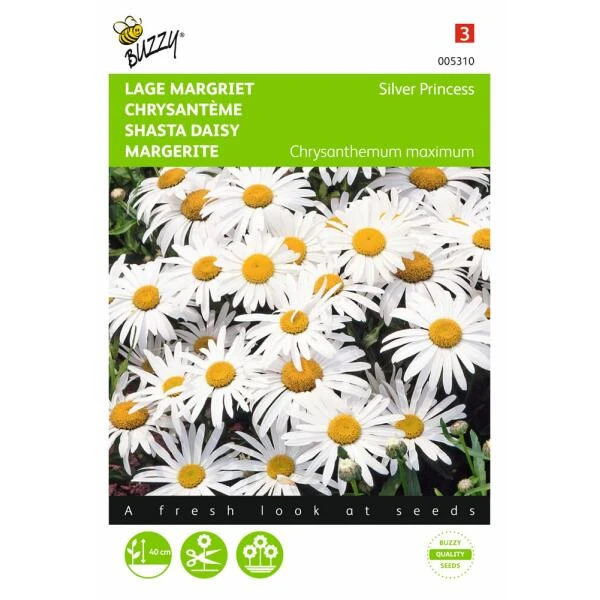 Chrysanthemum maximum nanum Silver Princess Chrysanthemum Maximum Nanum Silver Princess -Winkel Voor Plantenzaden En Meststoffen chrysanthemum maximum nanum silver princess 1646840336 535 600