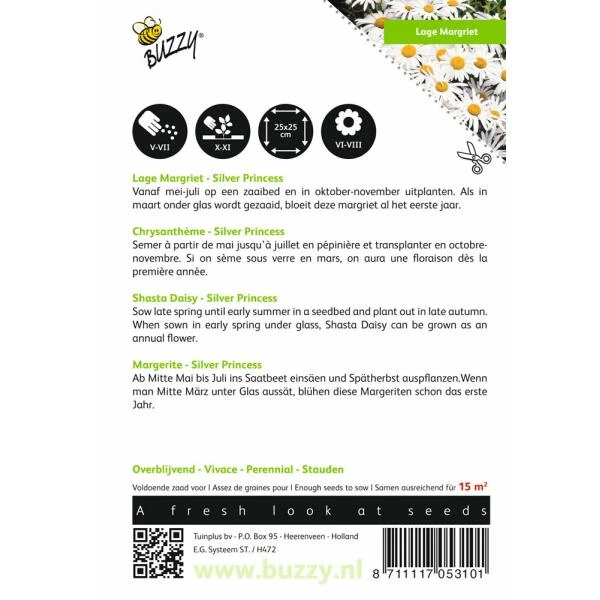 Chrysanthemum maximum nanum Silver Princess Chrysanthemum Maximum Nanum Silver Princess -Winkel Voor Plantenzaden En Meststoffen chrysanthemum maximum nanum silver princess 1646840336 536 600