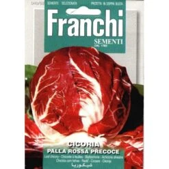 Cicoria Palla Rossa Precoce - Roodlof