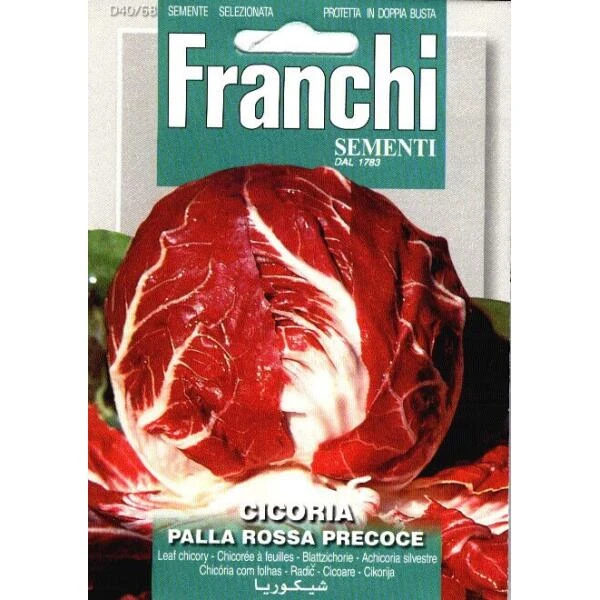 Cicoria Palla Rossa Precoce - Roodlof Cicoria Palla Rossa Precoce - Roodlof -Winkel Voor Plantenzaden En Meststoffen cicoria palla rossa precoce roodlof 1646840373 1330 600