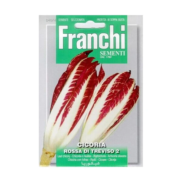 Cicoria Rossa Di Treviso - Roodlof Cicoria Rossa Di Treviso - Roodlof -Winkel Voor Plantenzaden En Meststoffen cicoria rossa di treviso roodlof 1646840373 1331 600