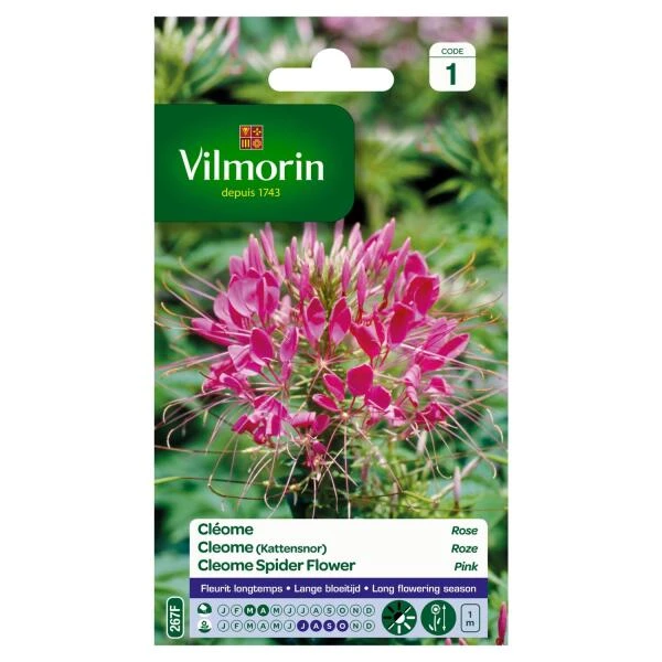 Cleome kattensnor roze Cleome Kattensnor Roze -Winkel Voor Plantenzaden En Meststoffen cleome kattensnor roze 1646839547 241 600