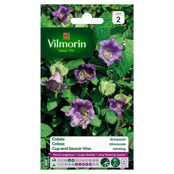 Cobea Klimmende - Cobea scandens Cobea Klimmende - Cobea Scandens -Winkel Voor Plantenzaden En Meststoffen cobea klimmende cobea scandens 1646839547 242 600