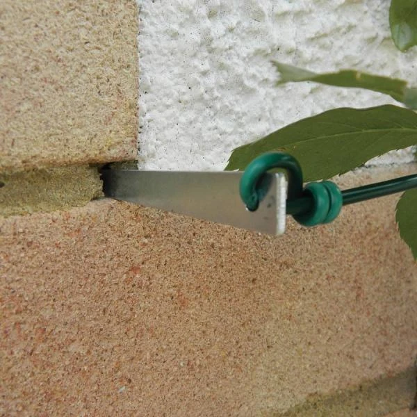 Druivengeleiders - set van 4 stuks Druivengeleiders - Set Van 4 Stuks -Winkel Voor Plantenzaden En Meststoffen druivengeleiders 1484063019 1 600