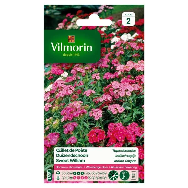 Duizendschoon Indisch Tapijt - Dianthus barbatus Duizendschoon Indisch Tapijt - Dianthus Barbatus -Winkel Voor Plantenzaden En Meststoffen duizendschoon indisch tapijt dianthus barbatus 1646839545 234 600