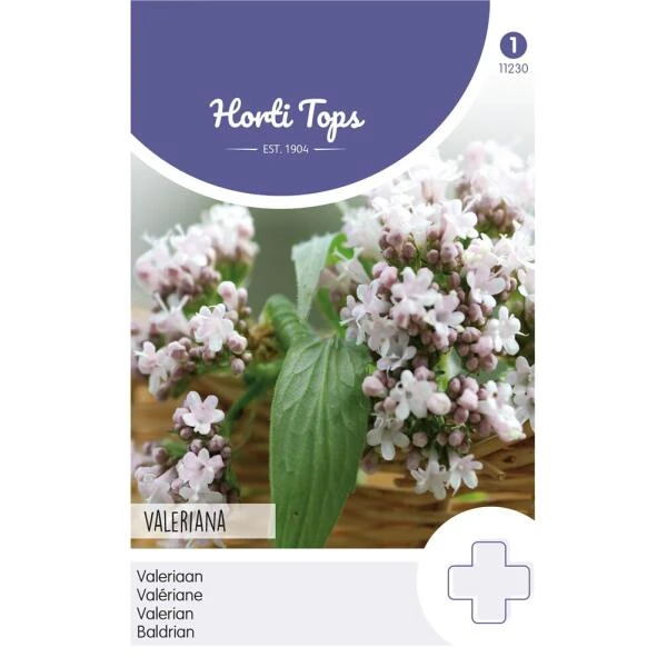 Echte valeriaan - Valeriana officinalis Echte Valeriaan - Valeriana Officinalis -Winkel Voor Plantenzaden En Meststoffen echte valeriaan valeriana officinalis 1646840347 766 600