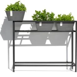 ECOPOTS Berlin Kruidentafel - Grijs 100 X 80 X 36 Cm -Winkel Voor Plantenzaden En Meststoffen ecopots berlin kruidentafel grijs 1600852112 2 600