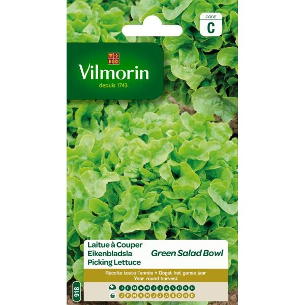 Eikenbladsla Groene Salad Bowl Eikenbladsla Groene Salad Bowl -Winkel Voor Plantenzaden En Meststoffen eikenbladsla groene salad bowl 1646839519 68 600