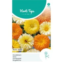 Goudsbloem Pacific Beauty - Calendula Officinalis