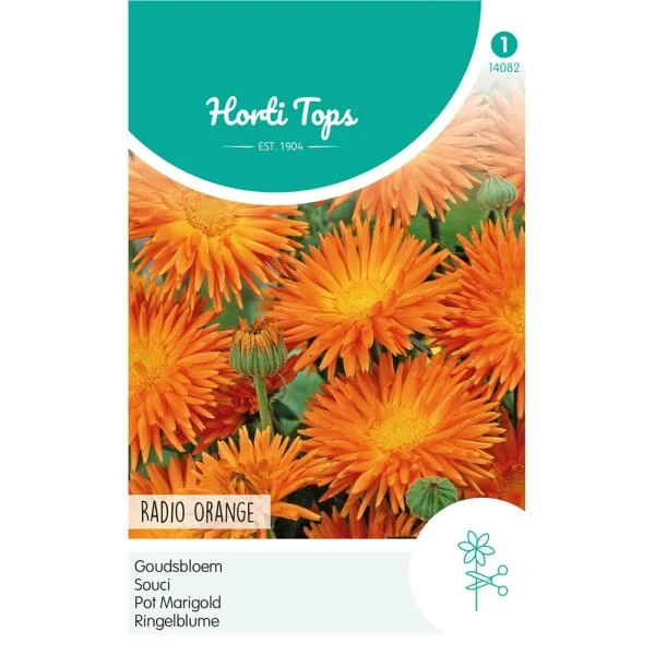 Goudsbloem Radio Orange - Calendula officinalis Goudsbloem Radio Orange - Calendula Officinalis -Winkel Voor Plantenzaden En Meststoffen goudsbloem radio orange calendula officinalis 1646840359 1038 600