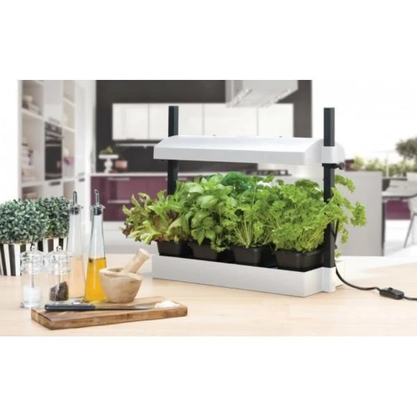 Groeilicht met kweekset - wit Groeilicht Met Kweekset - Wit -Winkel Voor Plantenzaden En Meststoffen groeilicht met kweekset wit 1484067835 1 600