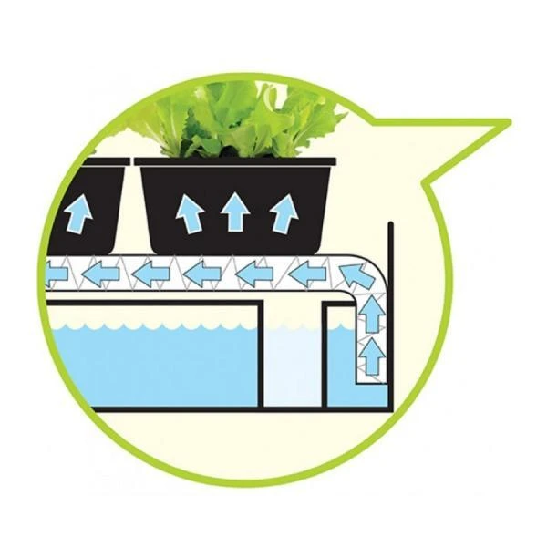 Groeilicht met kweekset - wit Groeilicht Met Kweekset - Wit -Winkel Voor Plantenzaden En Meststoffen groeilicht met kweekset wit 1484067835 2 600