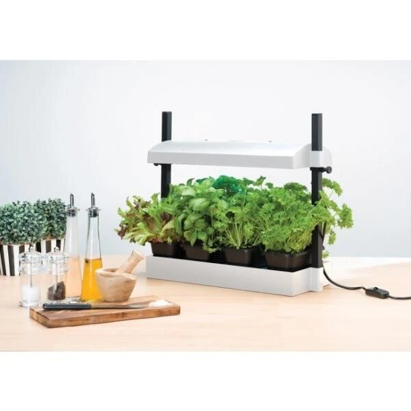 Groeilicht met kweekset - wit Groeilicht Met Kweekset - Wit -Winkel Voor Plantenzaden En Meststoffen groeilicht met kweekset wit 1490362645 1 600