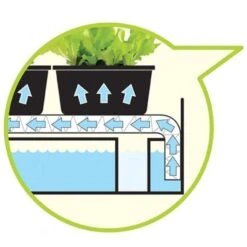 Groeilicht Met Kweekset - Zwart -Winkel Voor Plantenzaden En Meststoffen groeilicht met kweekset zwart 1484063021 3 600