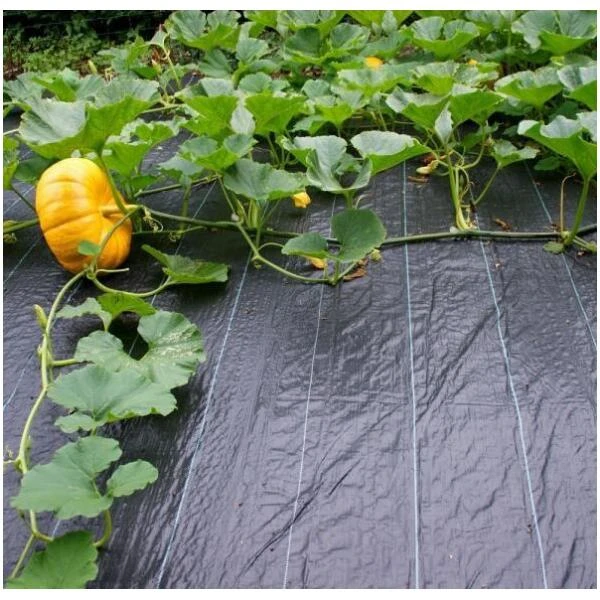 Gronddoek 3 × 6 m (90 g/m²) Gronddoek 3 × 6 M (90 G/m²) -Winkel Voor Plantenzaden En Meststoffen gronddoek 3 x 6 m 90 gm 1615194890 1 600