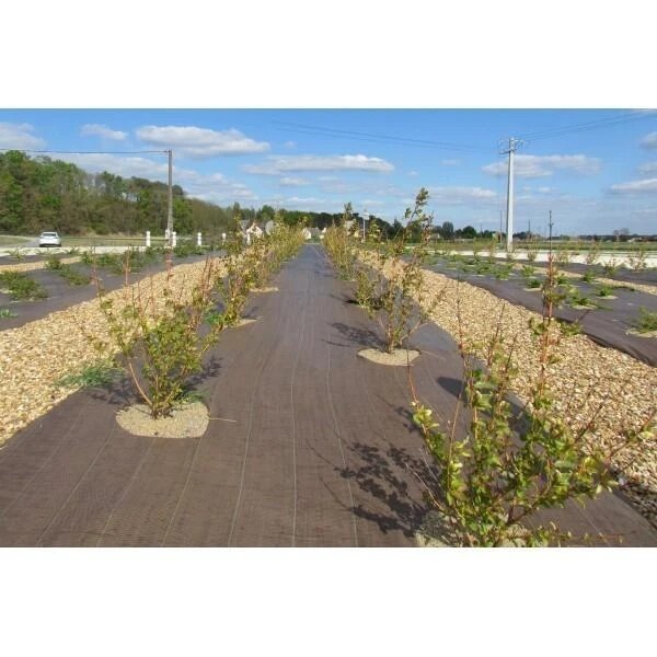 Gronddoek - 2,1 × 20 m Gronddoek - 2,1 × 20 M -Winkel Voor Plantenzaden En Meststoffen gronddoek 21 x 20 m 1553378596 1 600