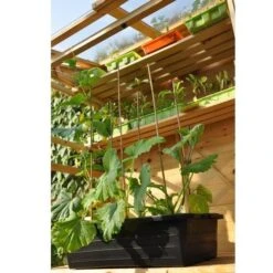 Kweekbak 40 Liter 3 Kweekbak 40 Liter -Winkel Voor Plantenzaden En Meststoffen grote kweekbak 40 liter 1484056513 1 600