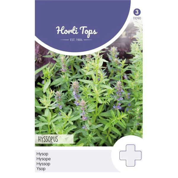 Hyssop - Hyssopus officinalis Hyssop - Hyssopus Officinalis -Winkel Voor Plantenzaden En Meststoffen hyssop hyssopus officinalis 1646840346 742 600