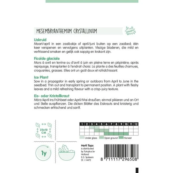 Ijskruid - Mesembryanthemum crystallinum Ijskruid - Mesembryanthemum Crystallinum -Winkel Voor Plantenzaden En Meststoffen ijskruid mesembryanthemum crystallinum 1646840357 991 600