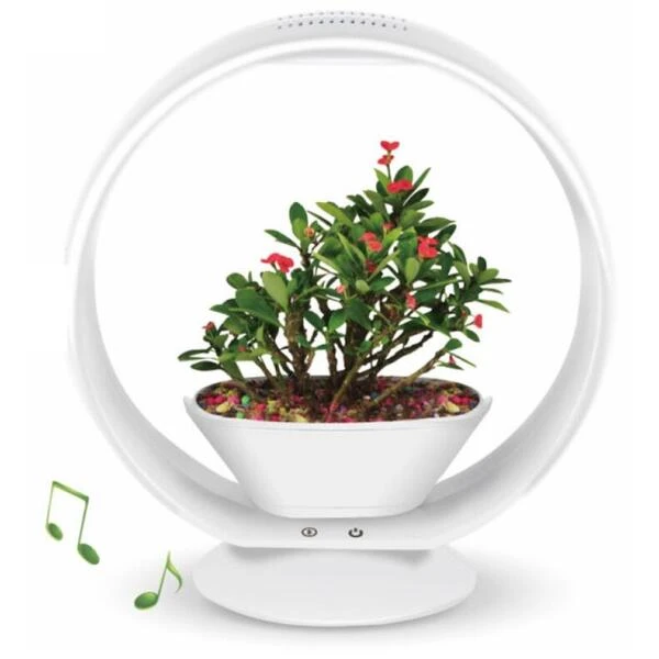 Mini tuin Jardin secret met verlichting en bluetooth - rond Mini Tuin Jardin Secret Met Verlichting En Bluetooth - Rond -Winkel Voor Plantenzaden En Meststoffen jardin secret met bluetooth rond 1602065218 1 600