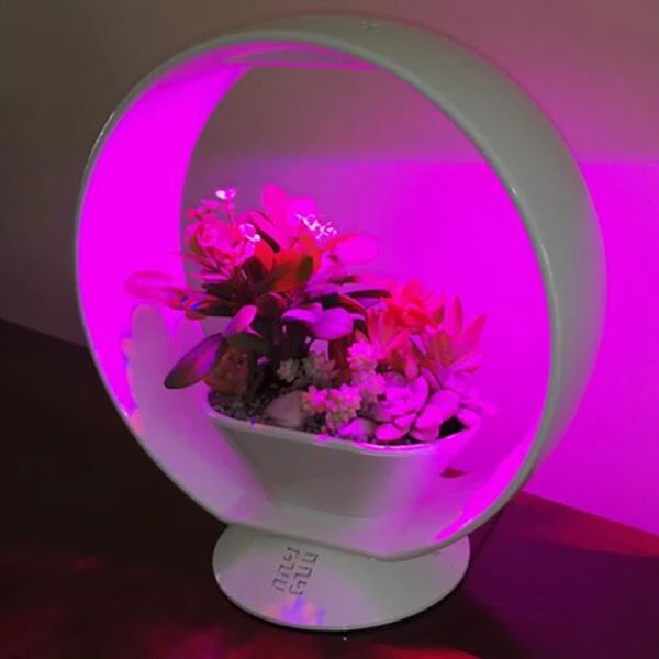 Mini tuin Jardin secret met verlichting en bluetooth - rond Mini Tuin Jardin Secret Met Verlichting En Bluetooth - Rond -Winkel Voor Plantenzaden En Meststoffen jardin secret met bluetooth rond 1602065218 3 600