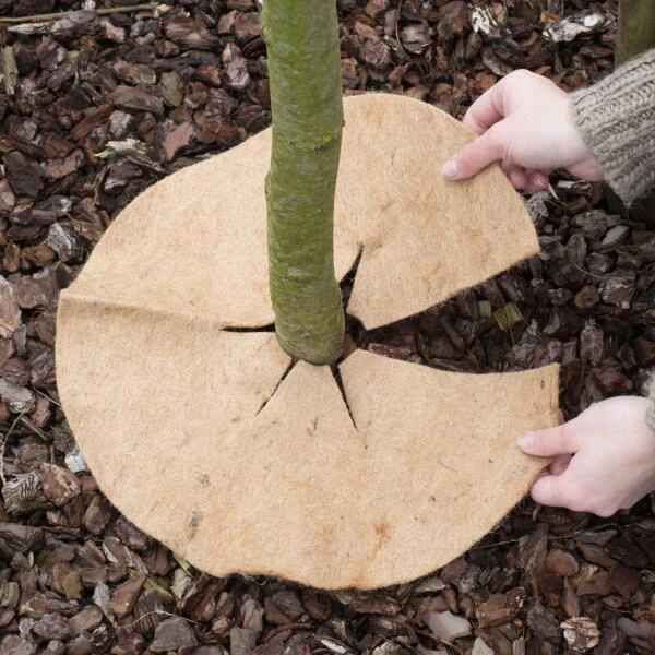 Jute afdekring - Ø 37 cm Jute Afdekring - Ø 37 Cm -Winkel Voor Plantenzaden En Meststoffen jute afdekring 37 cm 1484065592 2 600