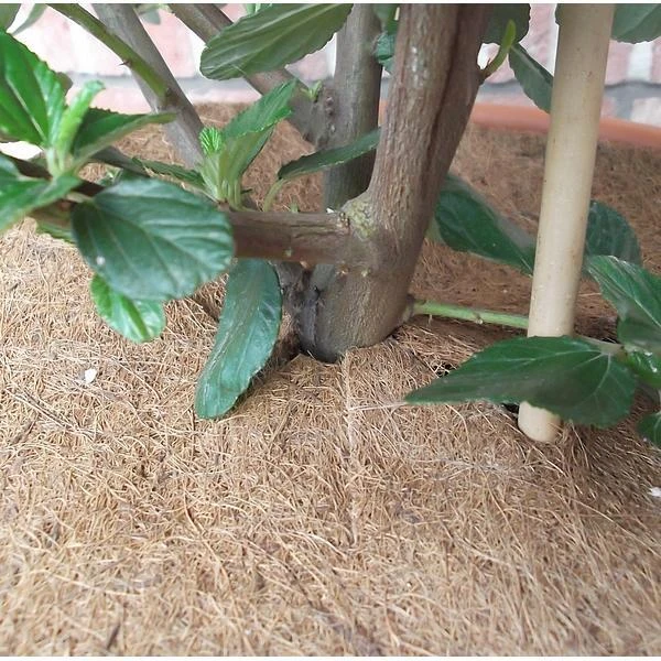 Jute afdekring - Ø 37 cm Jute Afdekring - Ø 37 Cm -Winkel Voor Plantenzaden En Meststoffen jute afdekring 37 cm 1484065592 4 600