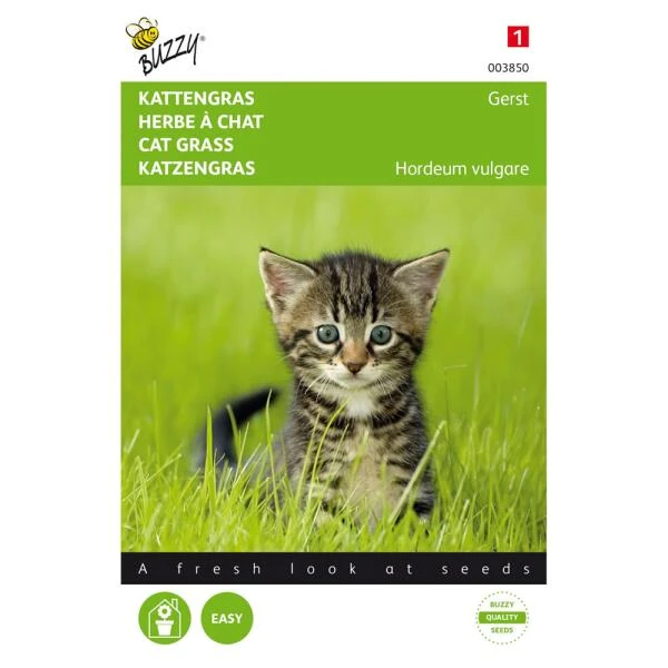 Kattengras gerst Kattengras Gerst -Winkel Voor Plantenzaden En Meststoffen kattengras gerst 1646840387 1574 600