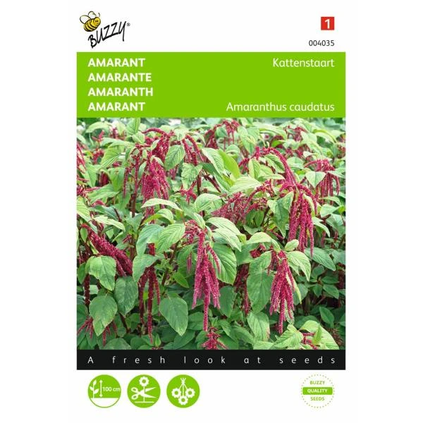 Kattenstaartamarant - Amaranthus caudatus Kattenstaartamarant - Amaranthus Caudatus -Winkel Voor Plantenzaden En Meststoffen kattenstaartamarant amaranthus caudatus 1646840324 291 600